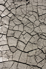 TERRENO CREPATO PER LA SICCITA'