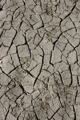 TERRENO CREPATO PER LA SICCITA'