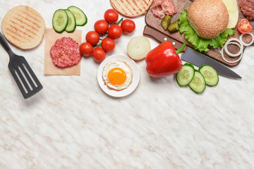 Ingredients for tasty burger on white background