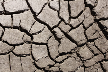 TERRENO CREPATO PER LA SICCITA'