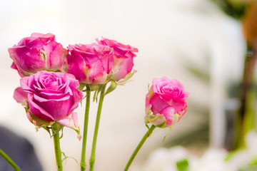 flower arrangement with pink and green leafs