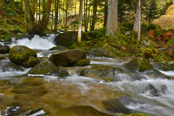 Cascade du ruisseau Saint Nicolas, Kruth (68820), département du Haut-Rhin en région Grand-Est,...