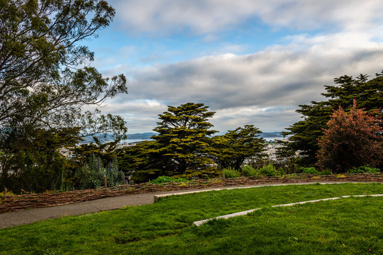 Buena Vista Park, San Francisco