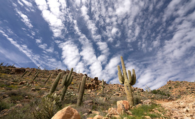 Arizona Landscape with Dramatic Sky backdrop Daylight