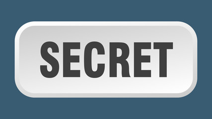 secret button. secret square 3d push button