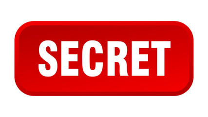 secret button. secret square 3d push button