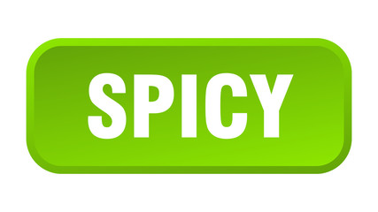 spicy button. spicy square 3d push button