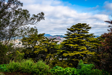 Buena Vista Park, San Francisco