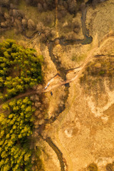 Aerial of winding stream river from above