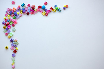 flowers on a white background