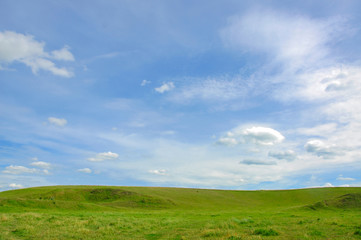 Green meadow with blue sky and clouds.