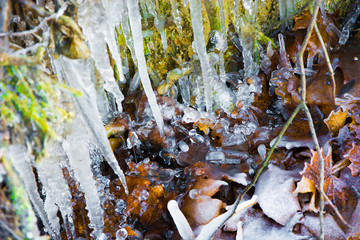 Sople w ziemi © Heroc