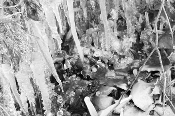 Sople w ziemi © Heroc