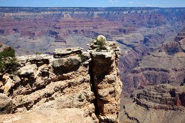 Arizona / USA - August 01, 2015: South Rim Grand Canyon landscape, Arizona, USA