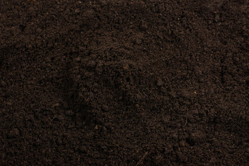Black land for plant background.
