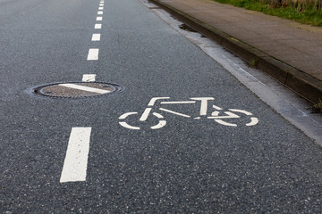 Fototapeta premium bicycle lane sign on road with wrongly turned stoke