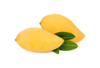 Mango fruit with leaves isolated on white background.