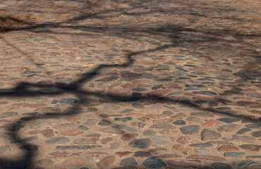 cobblestone road shaded by trees on a sunny day