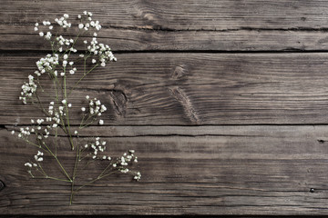 gypsophila flowers on old wooden background