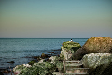 view of the rocky beach of the sea or ocean in sunny weather with clear blue sky
