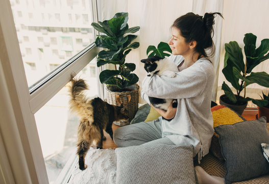 Stay home stay safe. Hipster girl hugging and playing with two cats in modern room, sitting together at home during coronavirus quarantine.  Isolation at home to prevent virus epidemic.