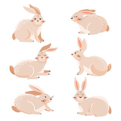 Obraz na płótnie Canvas Set of cute forest bunny in various poses. Vector illustration for card, sticker, invitation, poster, packaging etc.