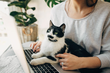 Young woman using laptop and cute cat sitting on keyboard. Faithful friend. Casual girl working on laptop with her cat, sitting together in modern room with pillows and plants. Home office.