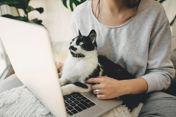 Fototapeta na wymiar Young woman using laptop and cute cat sitting on keyboard.Home office. Girl working on laptop with her cat, sitting together in modern room with pillows and plants. Faithful friend