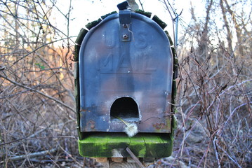 Flowered Mailbox