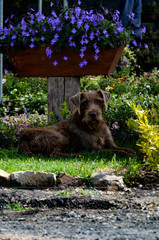 una mirada de experiencia