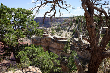 Fototapeta na wymiar Arizona / USA - August 01, 2015: South Rim Grand Canyon landscape, Arizona, USA