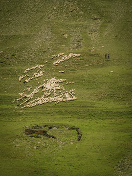 Pastures around Dartlo village in Georgia. Omalo Shatili trek.