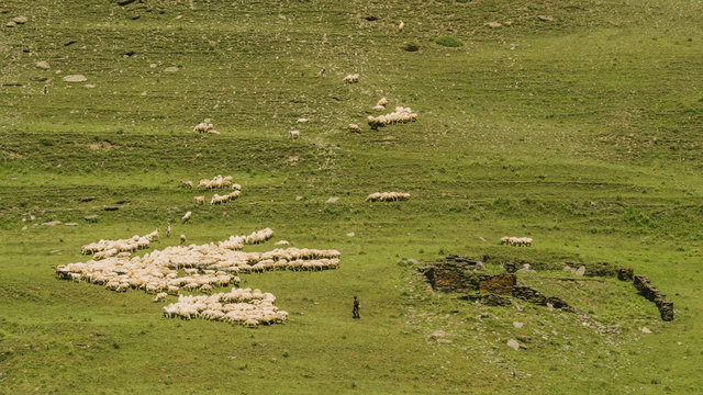 Pastures around Dartlo village in Georgia. Omalo Shatili trek.