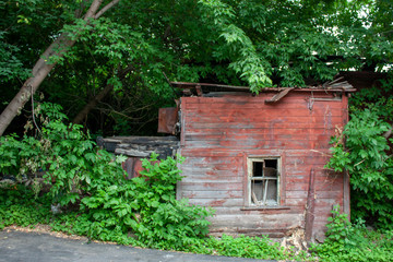 The brown wall of a collapsed wooden house with one window. Brown wall of a house among green thickets on a summer day. The ruins of a house with the last whole window without glass.