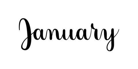 Fototapeta premium January. Handwritten month name on white background. Vector text element with black inscription. Modern brush calligraphy style