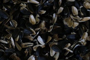 Husks of sunflower seeds. Abstract husks background, selective focus.