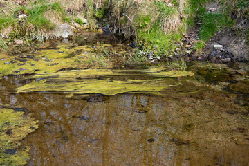 Creek, rural landscape. Cloudy sky. Spring, nature is awakening
