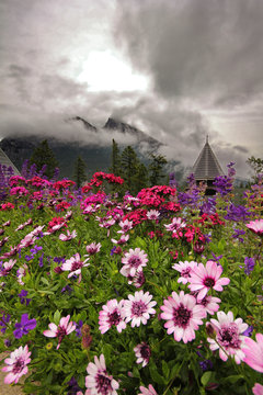 Gerbera daisis and other colourful flowers in the foreground of mountains peeking through the clouds.