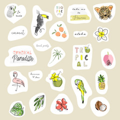Summer cartoon doodle hand drawn vector elements