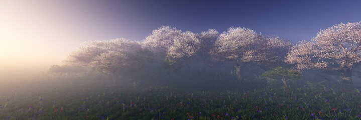 Spring landscape, Flowering trees in the sun at sunrise, garden of flowering trees in the morning in the fog, the park is blooming in the haze,