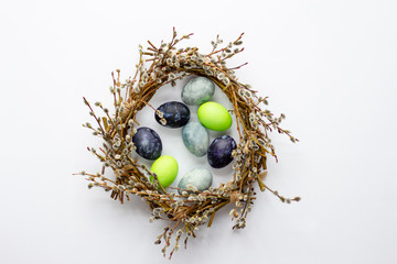 bright green and blue colored Easter eggs in a wreath of willow twigs with fluffy buds in spring on a white background © Elena