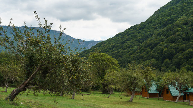 Lonely apple tree against the backdrop of mountains and campig autumn day in Bosnia and Herzegovina