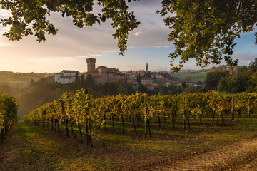 village and vineyard of Levizzano di Castelvetro, Emilia Romagna, Italy