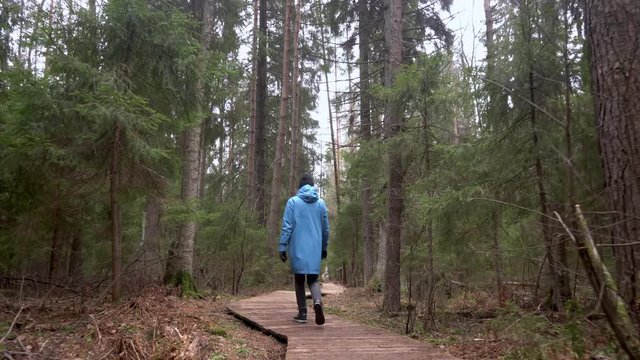 A woman in a blue raincoat and black hat is walking along an ecological trail. Back view. Wide angle