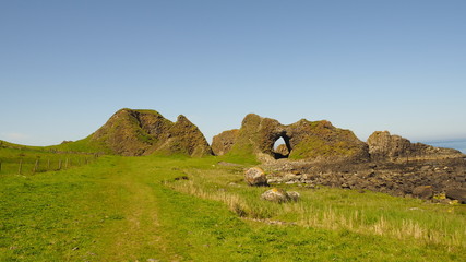 Obraz premium OLYMPUS DIGITAL CAMERA