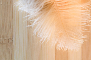 White fluffy soft feather against a light brown wooden Board. Background.