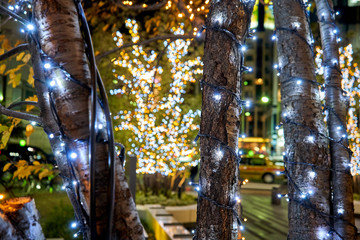 Trees decorated with various Christmas lights in Tokyo