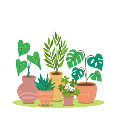 Colorful houseplants background