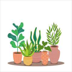 Colorful decorative plants background