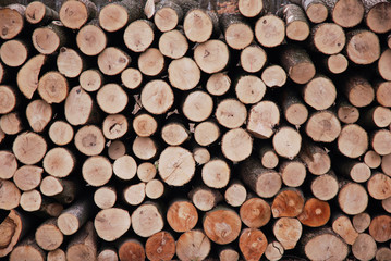 Pile of wood